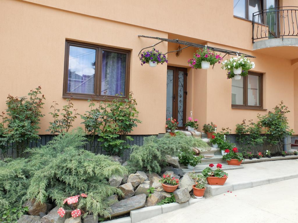 Dupa Apa La Razvan Sighetu Marmatiei Exterior photo